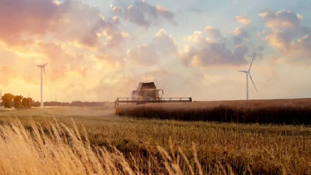 Las cabañuelas son una tradición folclórica rural que intenta interpretar los ciclos naturales y fenómenos climático. | Pixabay