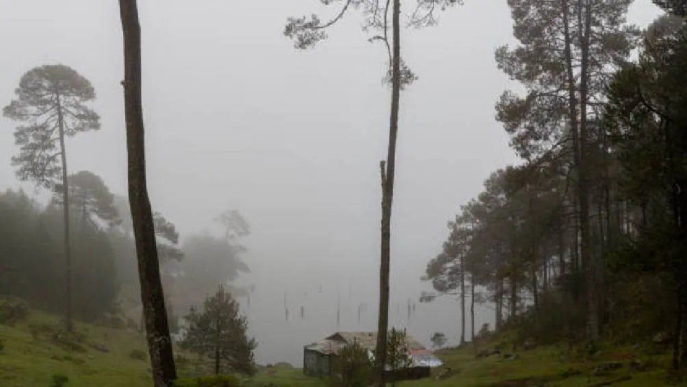 En México, la temporada invernal se caracteriza por frentes fríos y masas de aire polar, siendo diciembre, enero y febrero los meses más fríos. | Pixabay