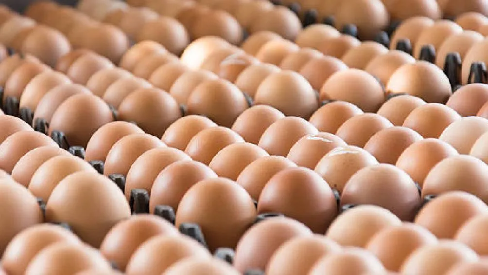 Se aconseja a los consumidores que no consuman, vendan ni distribuyan estos productos. | Pixabay