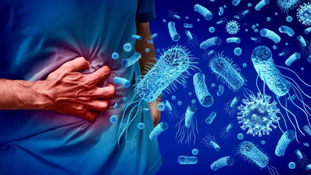 La salmonela es una bacteria que puede ocasionar infecciones en seres humanos y animales. | Pixabay