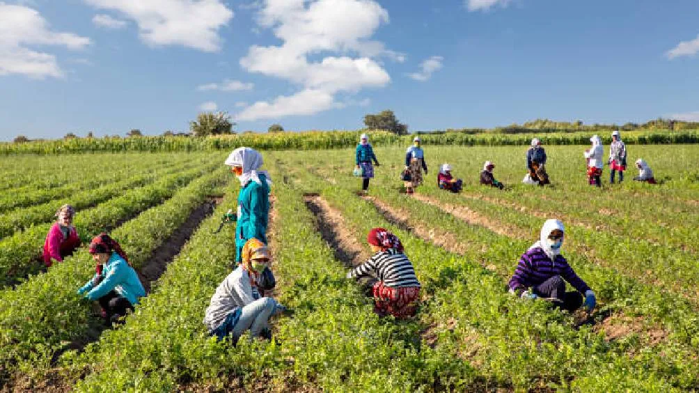 En diversos estados de los Estados Unidos, se cerraron establecimientos comerciales en apoyo a la campaña &quot;Un día sin migrantes&quot;. | Pixabay