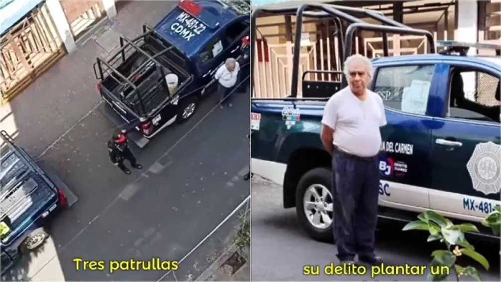Alfredo Carrillo, de 67 años y fundador de Naturaleza Sostenible CDMX, fue arrestado en la alcaldía Benito Juárez de la Ciudad de México. / Tik Tok
