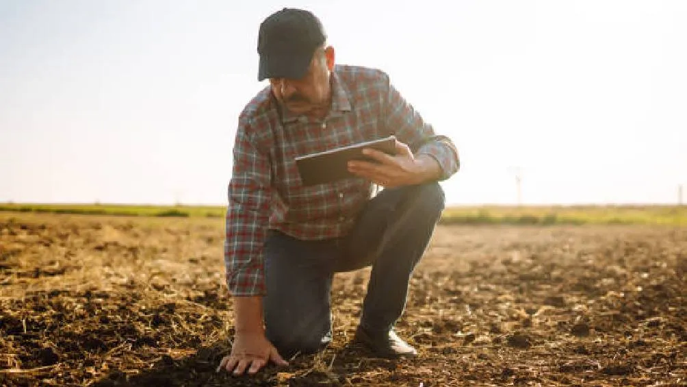 En México &quot;La Niña &quot;está causando sequías en el noroeste de México. / Pixabay