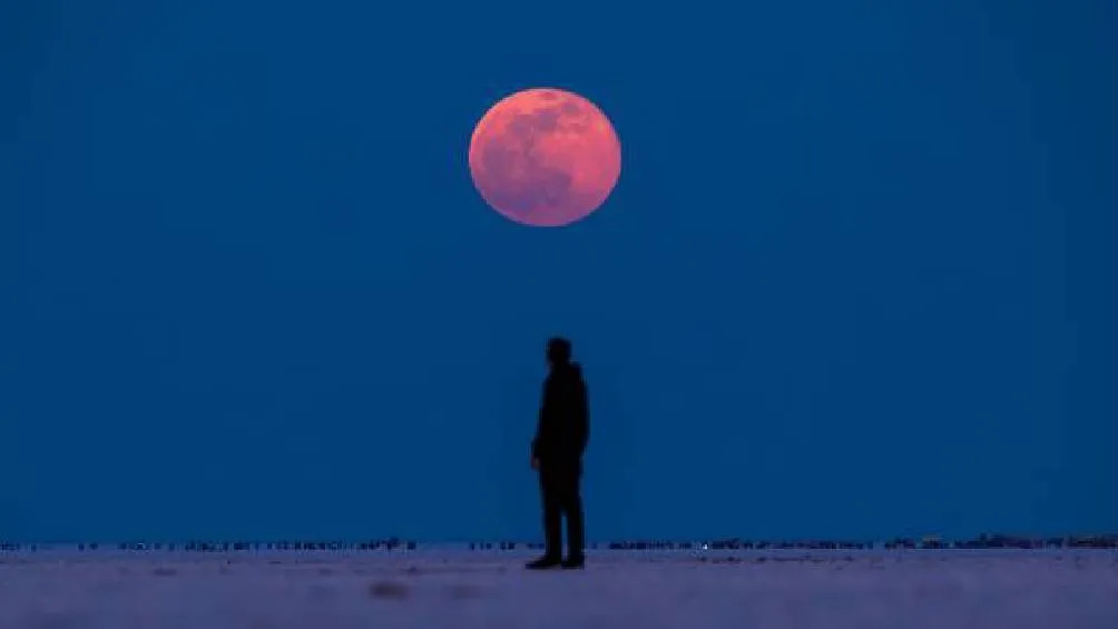 Para observar el eclipse lunar, no se requiere equipo especial, aunque binoculares o telescopios pueden mejorar la experiencia. / Pixabay