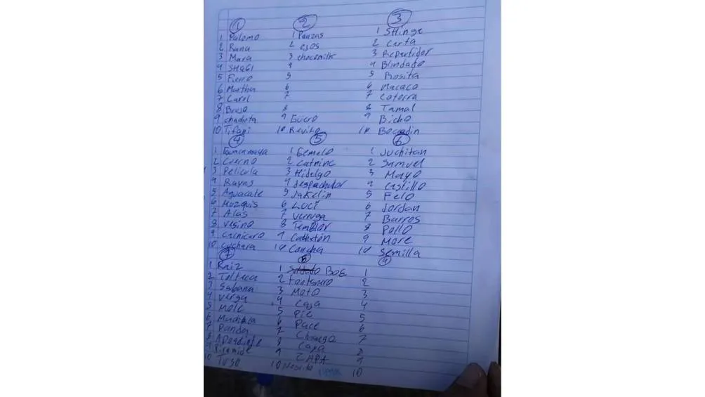 Se encontró una lista con apodos, / Colectivo Guerreros