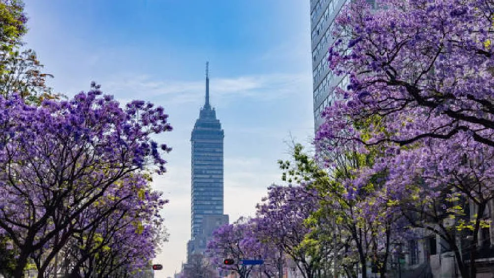 En 2025, ocurrirá el 20 de marzo a las 3:01 horas. / Pixabay