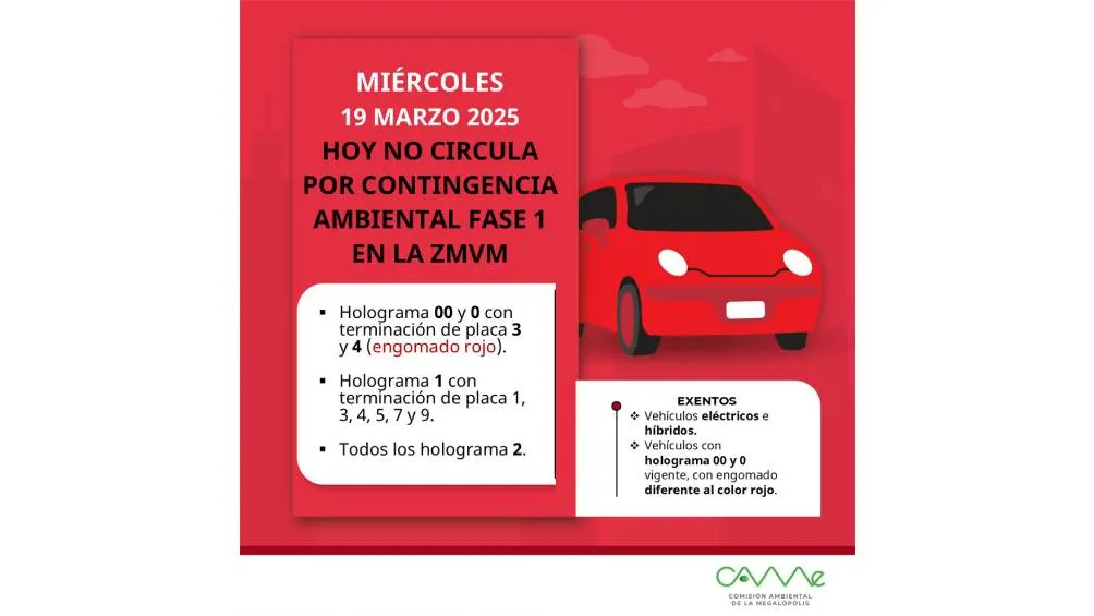 Estos son los autos que no pueden circular por el Doble No Circula. / CAME