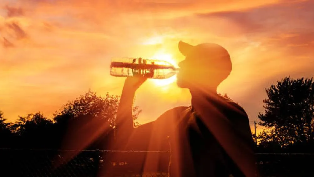 En la Ciudad de México, se prevé que las temperaturas oscilarán entre 29 y 30 grados Celsius. / Pixabay