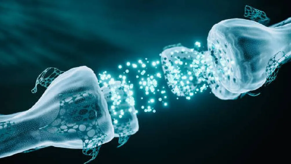 La esclerosis múltiple constituye una enfermedad crónica del sistema nervioso central que interfiere en la comunicación entre el cerebro y el cuerpo. / Pixabay