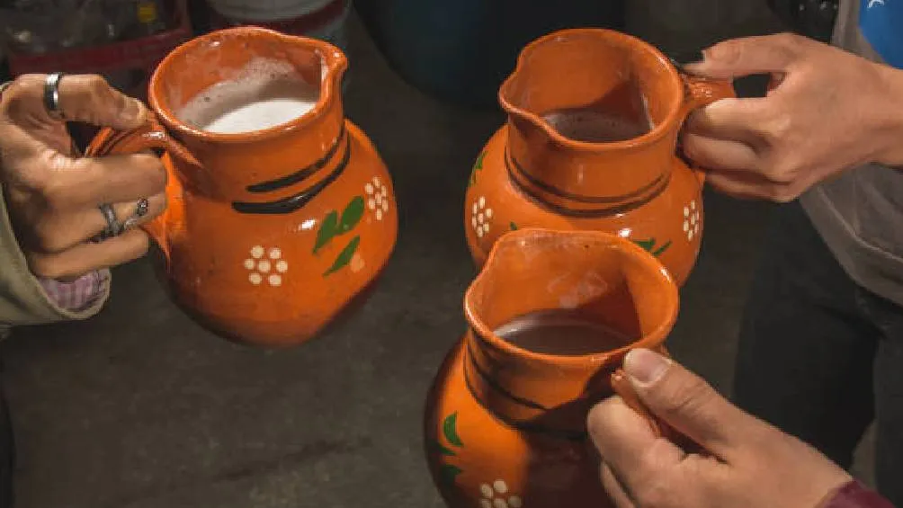 La comunidad pulquera invita a artistas, músicos, artesanos, productores, medios de comunicación y al público en general a participar. / Pixabay