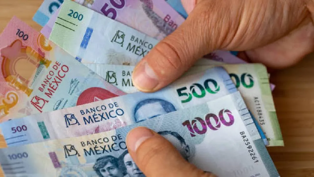 El reemplacamiento tiene un costo de 1,014 pesos para automóviles y 755 pesos para motocicletas. / Pixabay