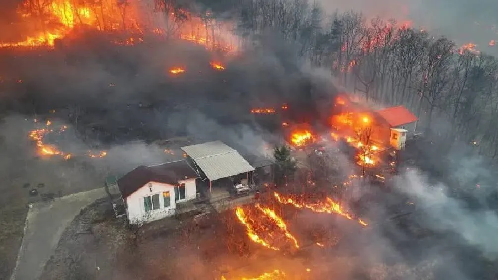 El Ministerio de Justicia dijo que había trasladado de forma preventiva a 500 reclusos de un centro de detención en Cheongsong,. / X