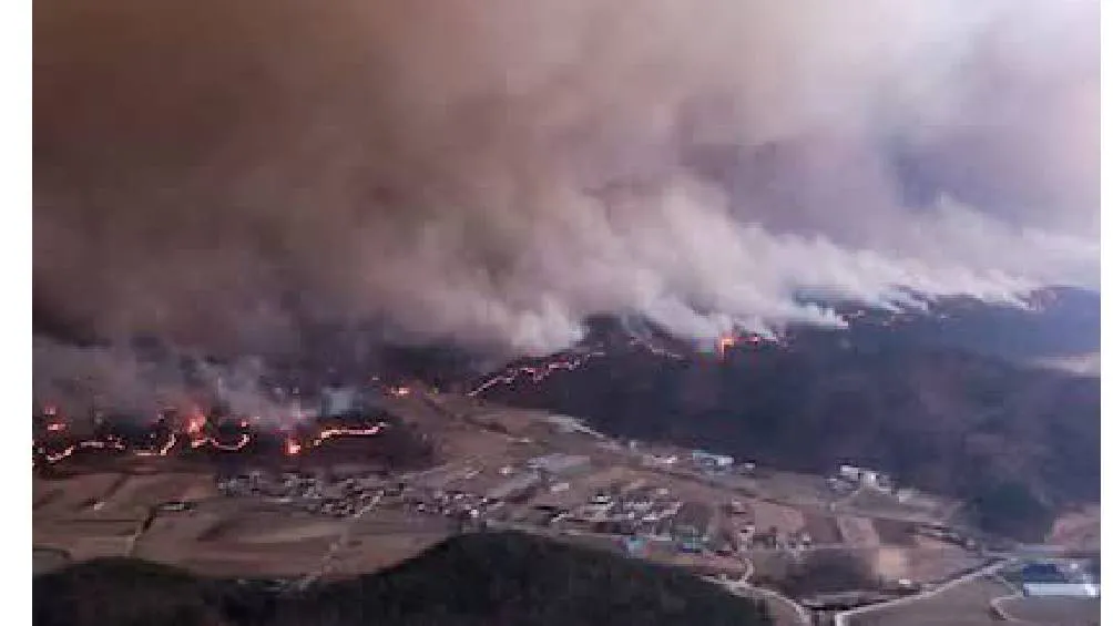 Las autoridades dicen que sospechan que varios de los recientes incendios forestales fueron causados por un error humano. / X