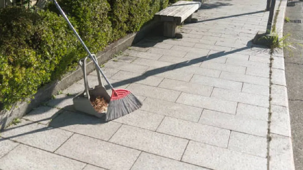 Las autoridades han indicado que las multas por no barrer la banqueta tienen como objetivo fomentar un cambio cultural. / Pixabay