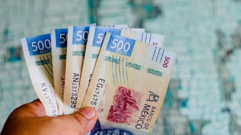 Las multas de entre 1,715 y 2,629 pesos, tras una amonestación previa. / Pixabay