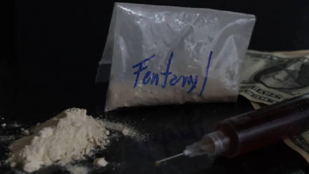 Expertos de la UNAM indican que la adicción a drogas como el alcohol y el fentanilo lleva a las personas a seguir consumiendo a pesar de las consecuencias negativas. / Pixabay