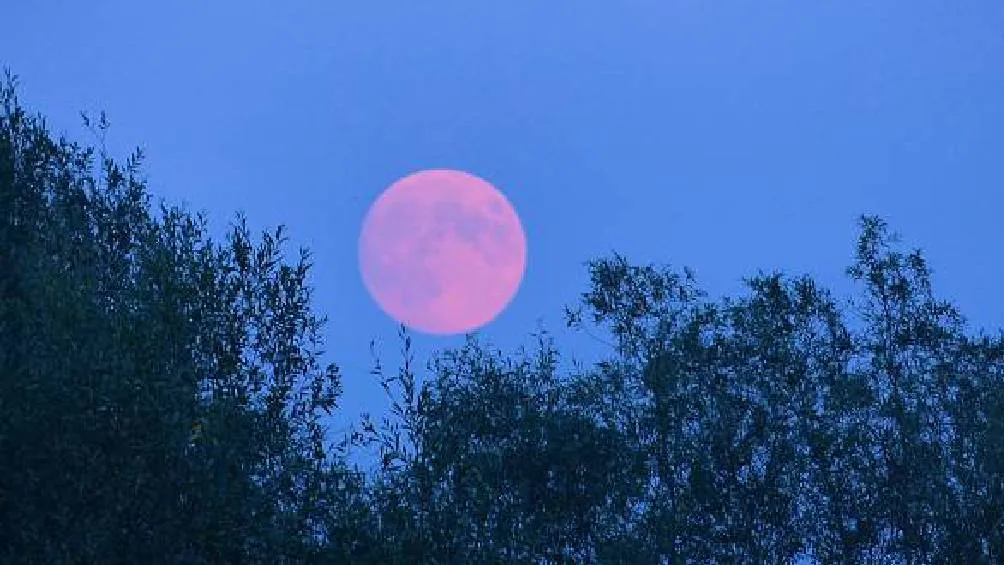 La luna llena será más brillante el 13 de abril por la tarde-noche, visible en la Ciudad de México desde las 18:22 horas. / Pixabay