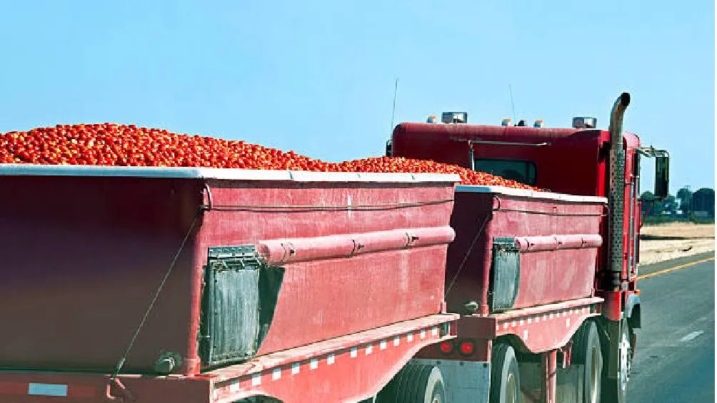 Esta decisión se debe a la retirada del acuerdo de suspensión de investigaciones antidumping por parte del Departamento de Comercio estadounidense. / Pixabay