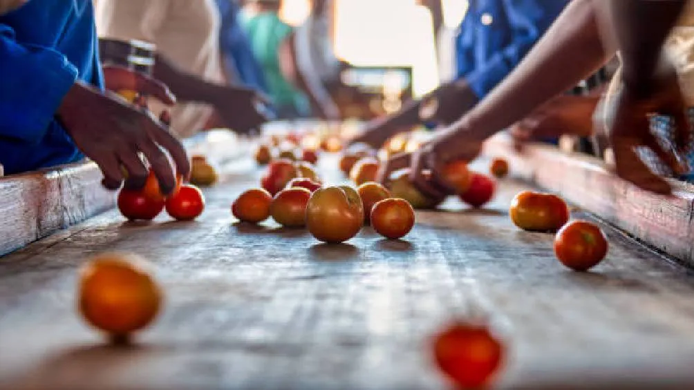 Existe preocupación de que esta medida pueda impactar miles de empleos en las zonas agrícolas . / Pixabay