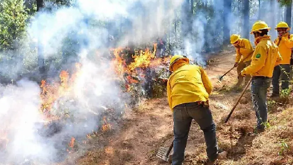 Desde marzo de 2024, el gobierno estatal ha aumentado la vigilancia y respuesta ante incendios. / RS