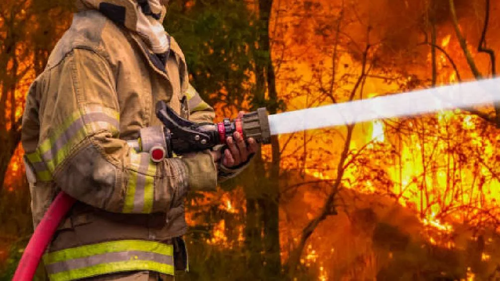 Las penas por estos delitos, que actualmente son de dos a ocho años de prisión, podrían aumentar hasta 30 años. / Pixabay