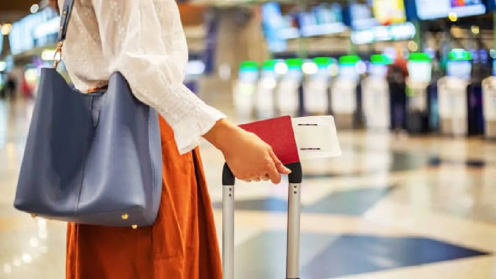 La OACI está creando estándares técnicos y de ciberseguridad para su validez internacional. / Pixabay