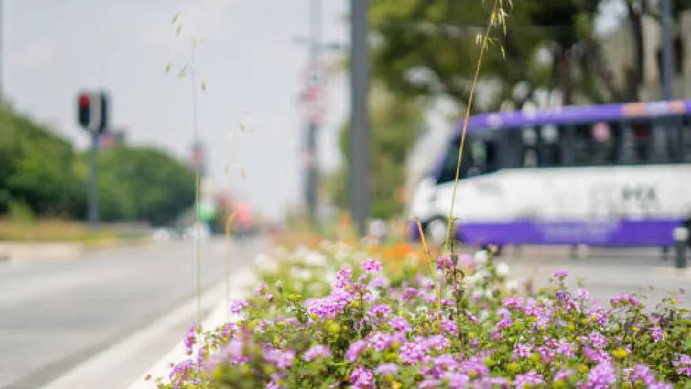 . Este sistema se propone para facilitar traslados durante eventos masivos, como la Copa Mundial de la FIFA 2026. / Pixabay