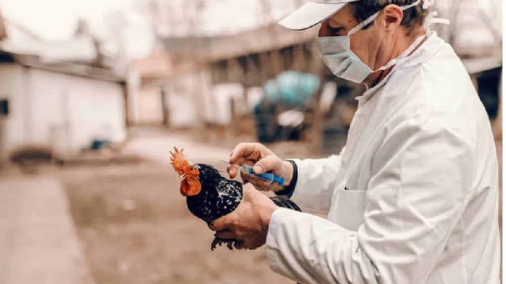 El virus fue detectado en un muestreo rutinario. / Pixabay