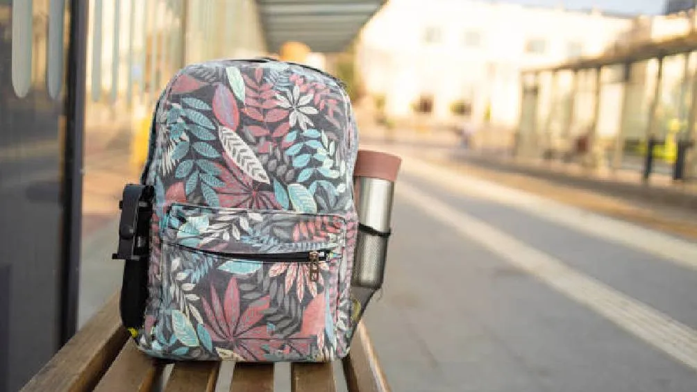 La UNAM comenzará clases el 21 de abril y el IPN el 28 de abril. / Pixabay