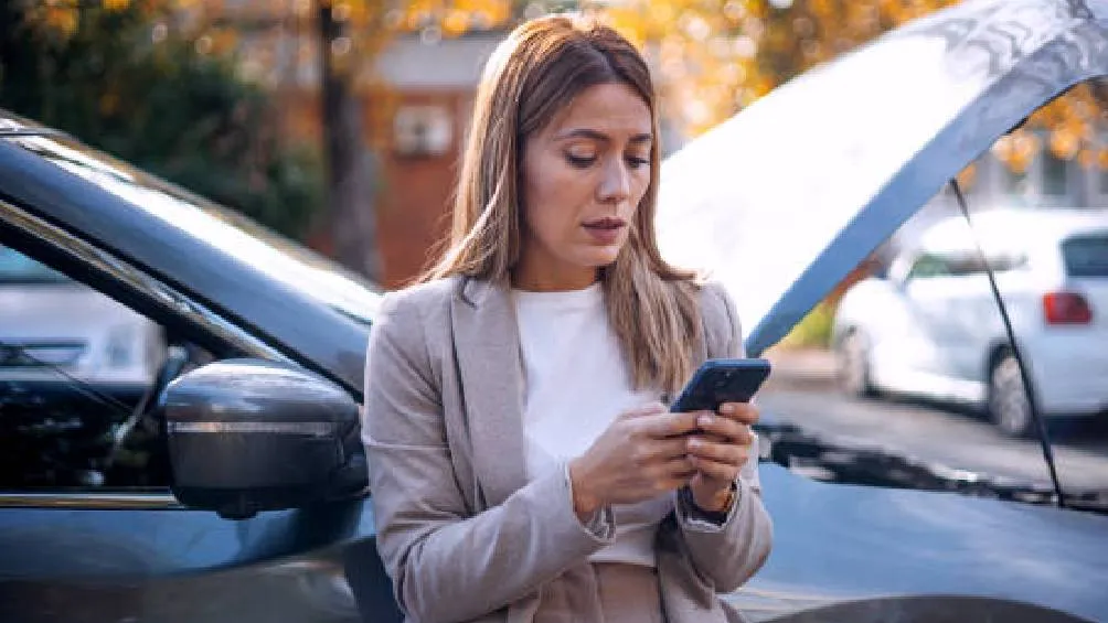 Llama al 911 y a tu aseguradora si hay agresividad; evita resolver por tu cuenta. / Pixabay