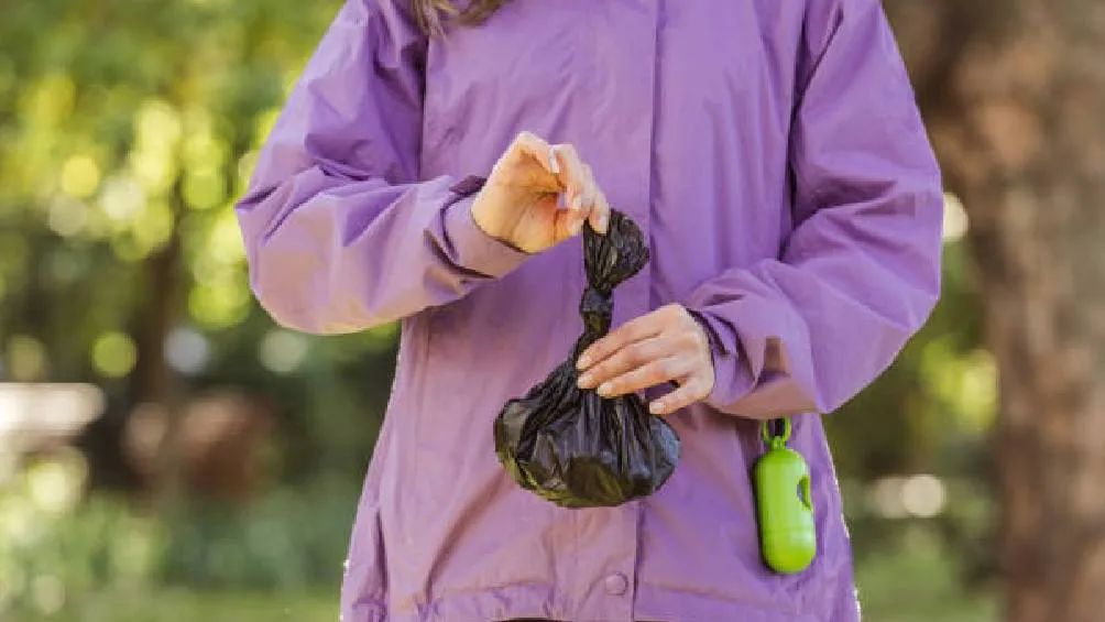 Las autoridades de la CDMX recomiendan adoptar medidas para cumplir con la ley y evitar sanciones. / Pixabay