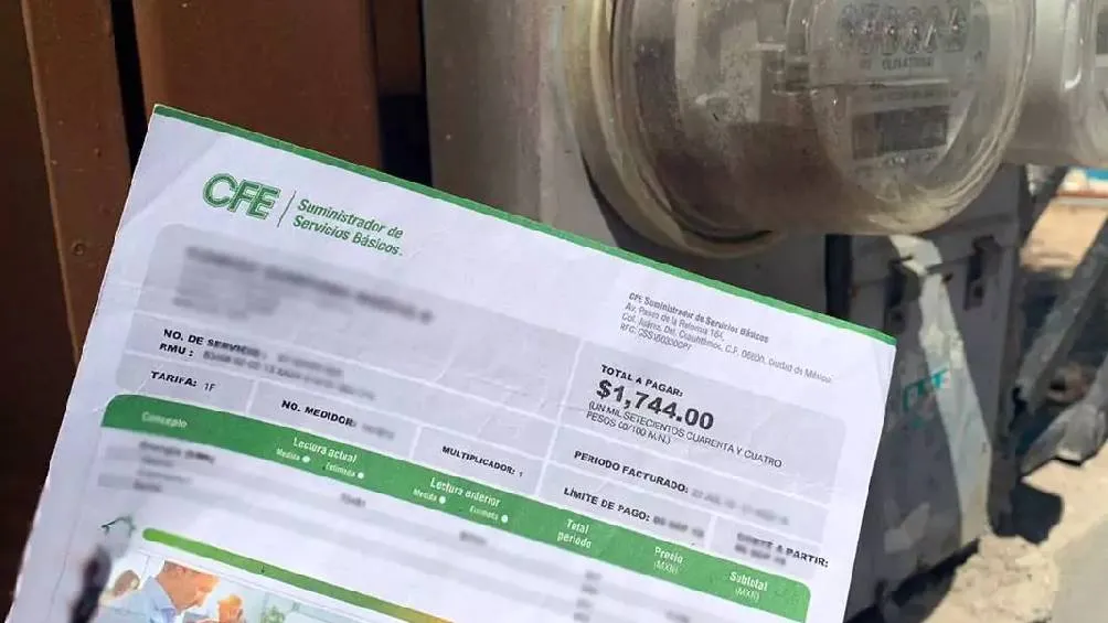 El subsidio se implementará principalmente en los estados del norte y sureste del país. / RS