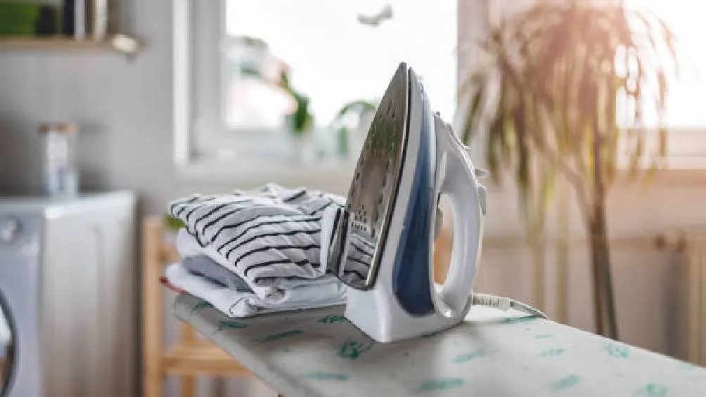 Asimismo, se aconseja evitar el uso intensivo de electrodomésticos entre las 16:00 y las 20:00 horas. / Pixabay