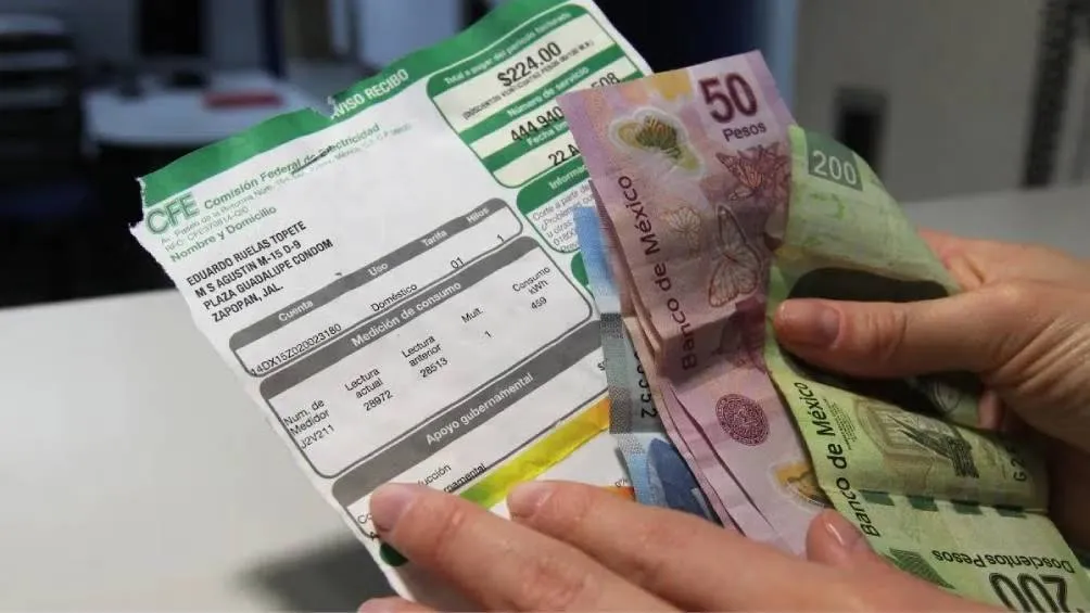 La mayor demanda de energía eléctrica en México se registra entre las 16:00 y las 20:00 horas. / RS