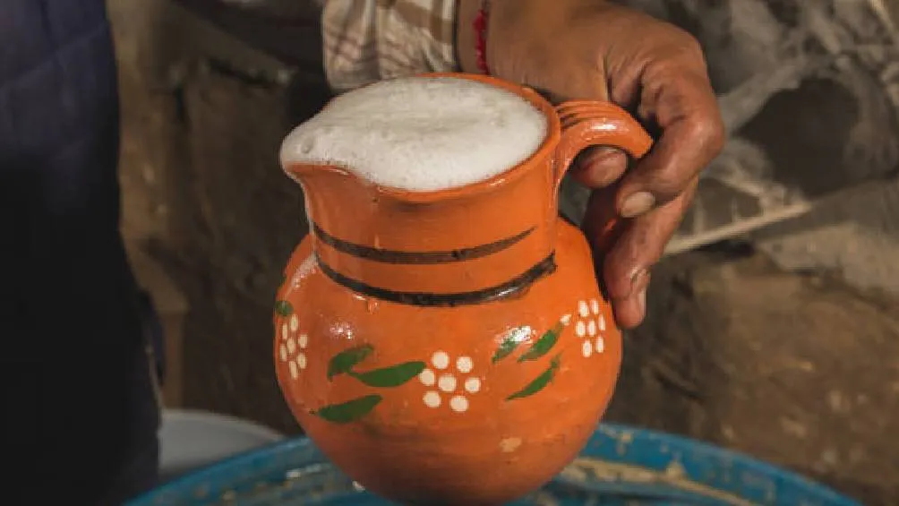 La cita será el próximo viernes 16 de mayo de 2025 en la Explanada de la Alcaldía Magdalena Contreras. / Pixabay