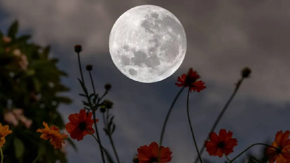 La Luna alcanzará su plenitud a las 22:56 horas, tiempo del centro de México. / Pixabay