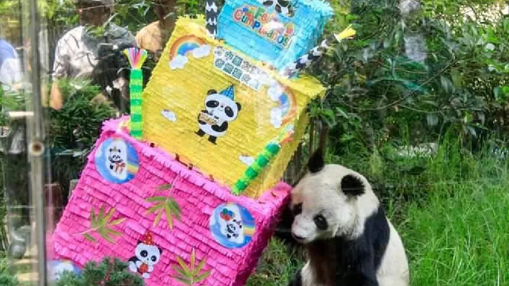 Los dibujos seleccionados se exhibirán en el Museo Interactivo del Centro de Conservación de la Vida Silvestre de Chapultepec. / Sedema