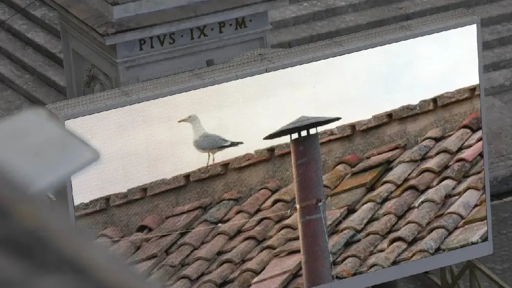 El cónclave más corto de la historia ocurrió en octubre de 1503. / AP