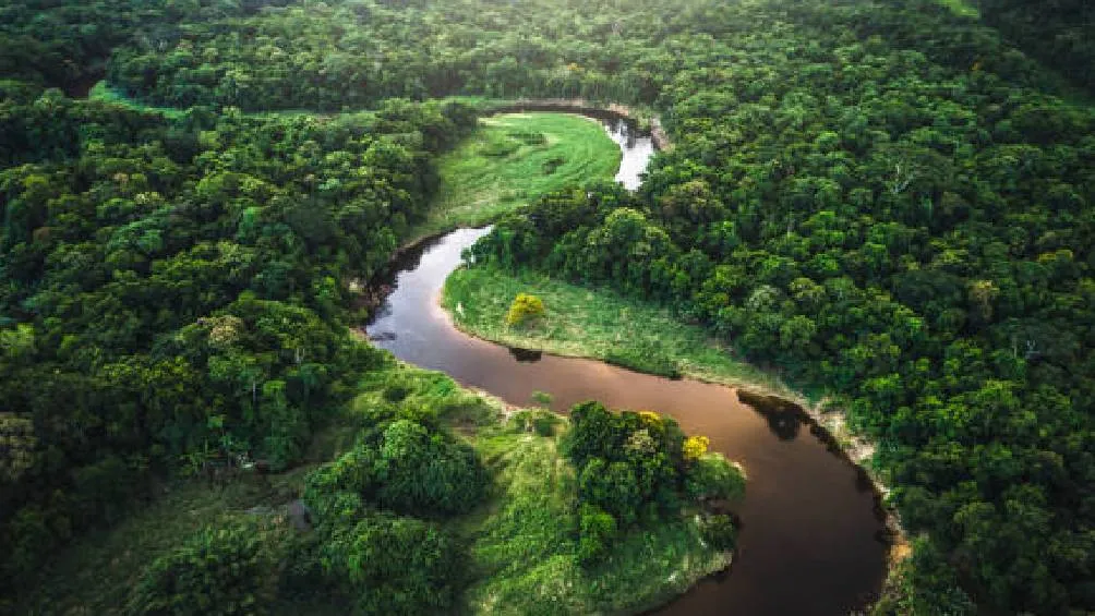 El informe indica que Brasil es el único país sudamericano que, según las proyecciones actuales, enfrentará condiciones extremas de calor. / Pixabay