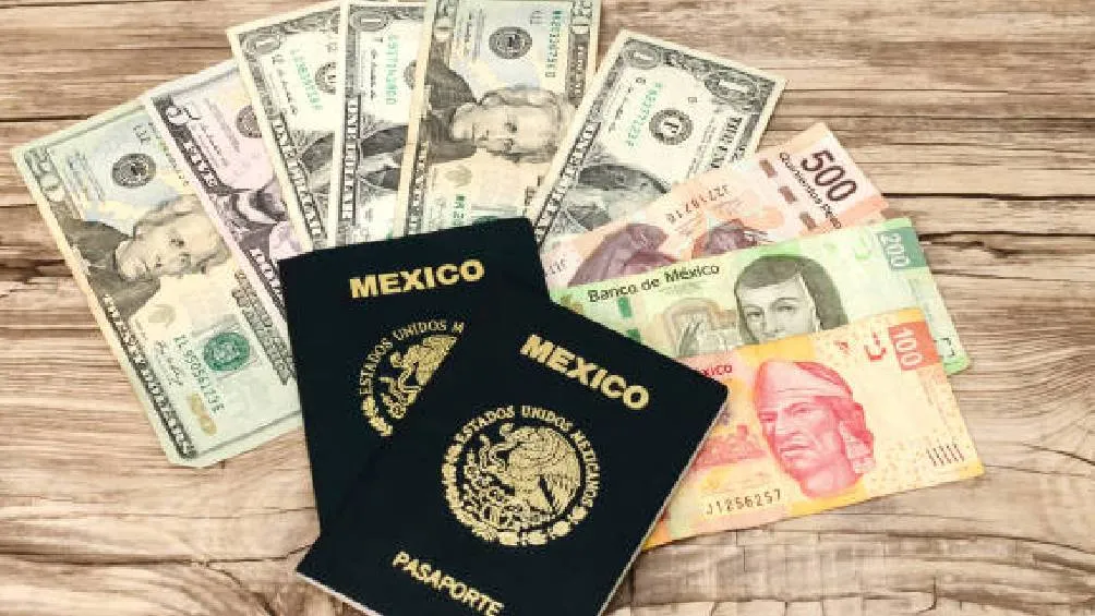 Los costos del pasaporte con un 50% de descuento son: 3 años: $865, 6 años: $1,175 y 10 años: $2,060./ Pixabay
