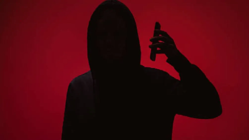 Compartir datos personales en medios no oficiales puede llevar a fraudes financieros. / Pixabay