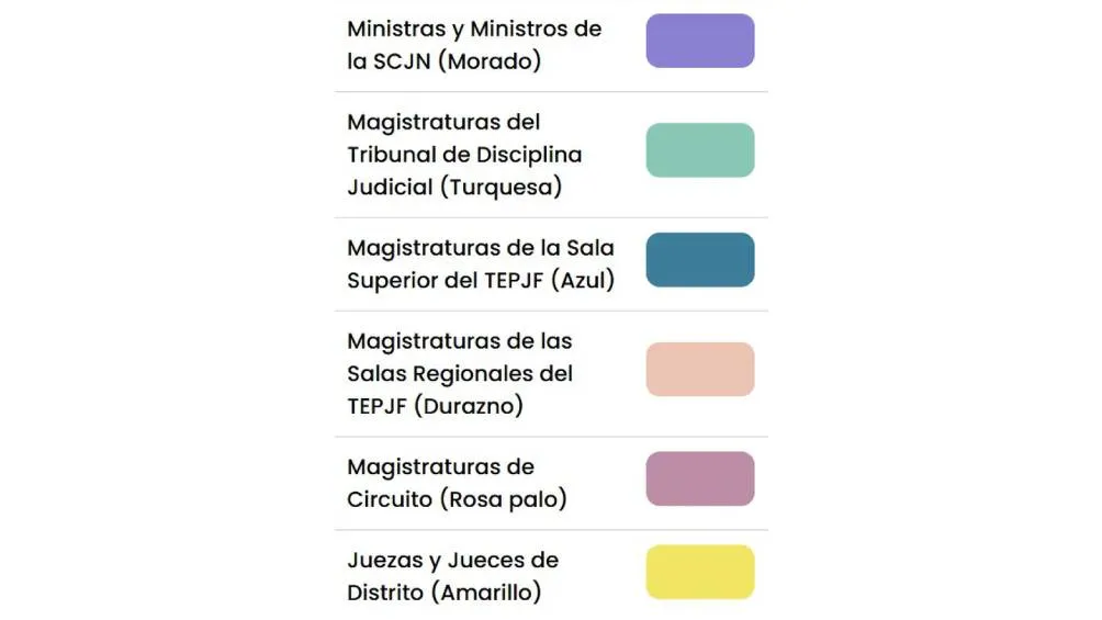 El INE ha diseñado boletas específicas que permitirán a los votantes identificar claramente a los candidatos y los cargos en disputa. / INE