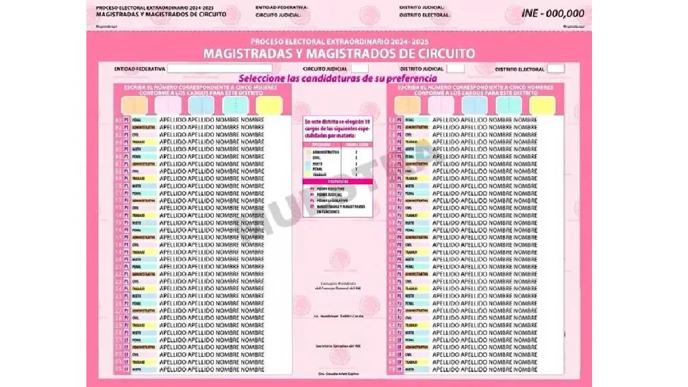 Rosa: Magistradas y Magistrados de Circuito.7 INE