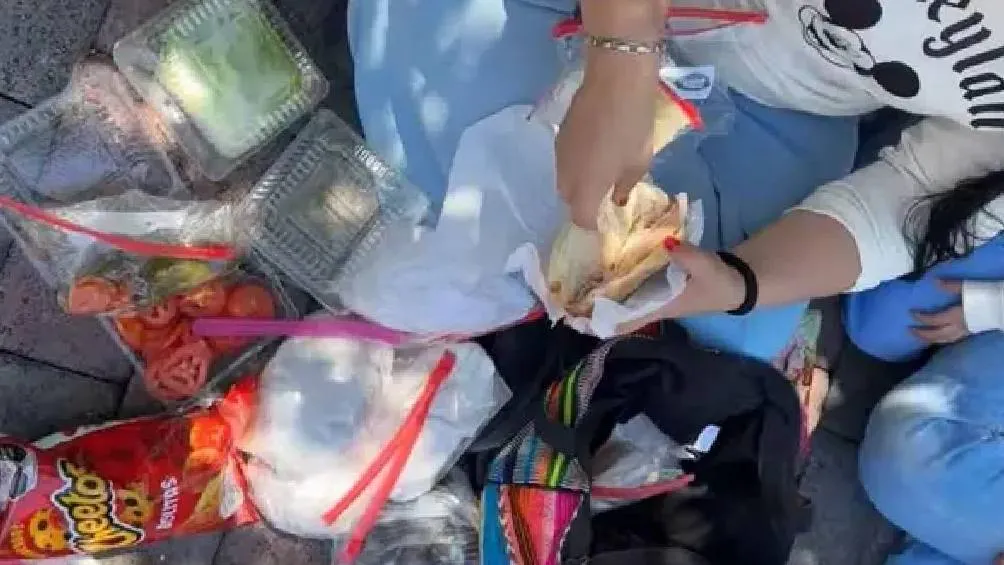 Hubo quienes aplaudieron la eficiencia del plan, mencionando que preferían invertir su tiempo en atracciones. / RS