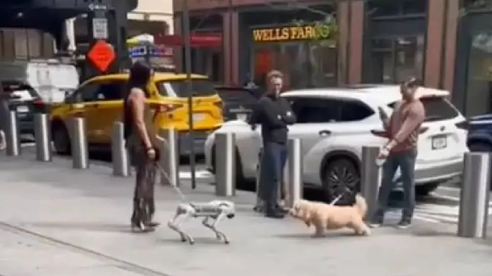 Un perro robot acercándose de manera tensa a un perro real en las calles de Nueva York. / Captura de pantalla