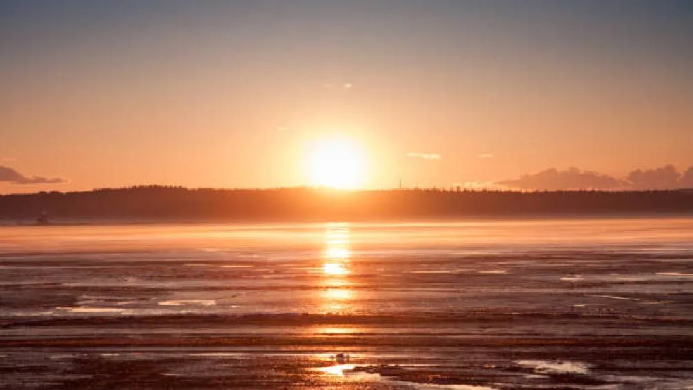 Este evento, celebrado desde la antigüedad por culturas como los mayas, celtas e incas como un símbolo de renovación. / Pixabay