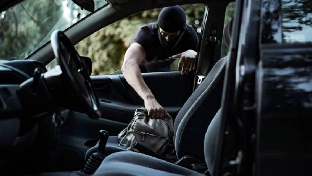 El supuesto responsable se muestra colaborativo al ofrecer cubrir los gastos sin involucrar a aseguradoras. / Pixabay