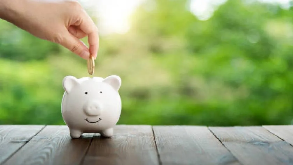 Al replicar este ejercicio de forma periódica, se puede acumular un capital significativo que complemente la pensión otorgada por las instituciones de seguridad social./ Pixabay