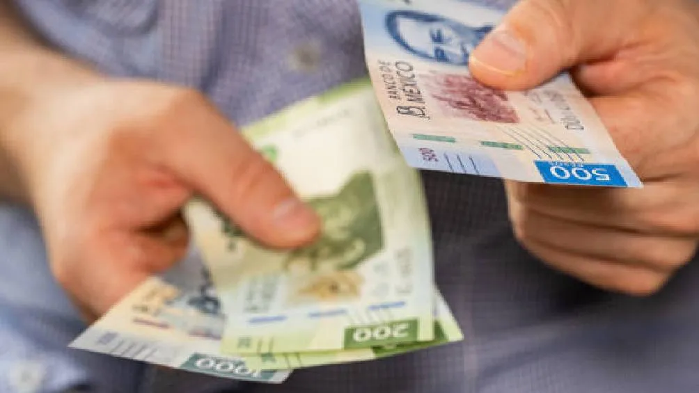 No cumplir con la verificación en el periodo establecido puede resultar en una multa por verificación extemporánea. / Pixabay