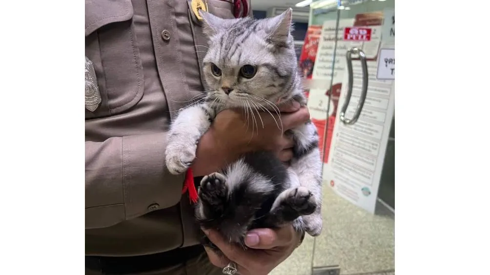 La escena fue registrada en fotos y difundida a través de las redes oficiales de la policía tailandesa./ FB